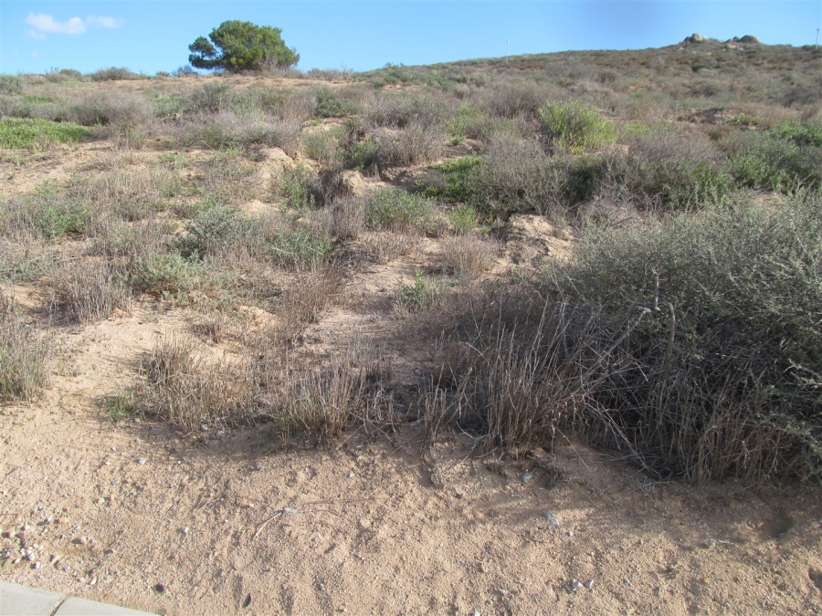 0 Bedroom Property for Sale in Britannica Heights Western Cape